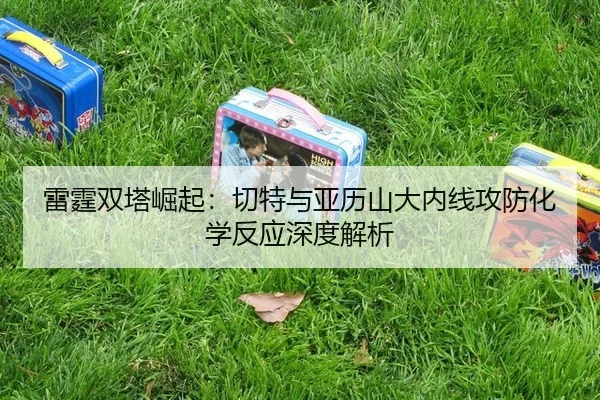 lei-ting-shuang-ta-jue-qi-qie-te-yu-ya-li-shan-da-nei-xian-gong-fang-hua-xue-fan-ying-shen-du-jie-xi-3-203.jpg