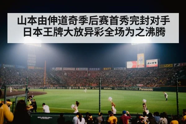 baseball stadium night